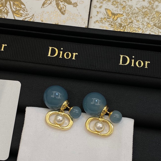 Dior Earrings CE14067