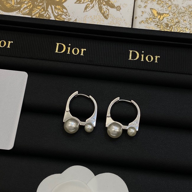Dior Earrings CE14068