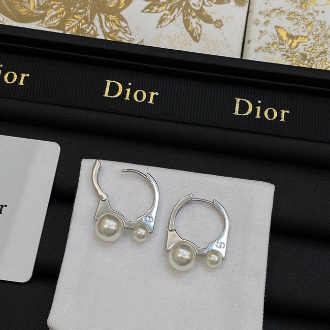 Dior Earrings CE14068