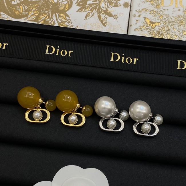 Dior Earrings CE14069