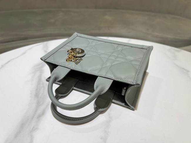 Mini Dior Book Tote Macrocannage Calfskin S5573OW gray