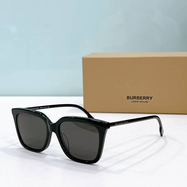 BurBerry Sunglasses Top Quality BBS00982