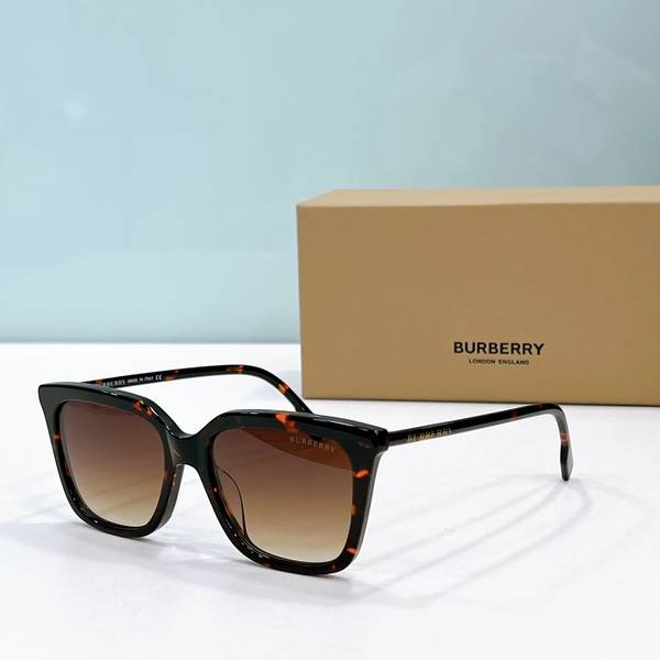 BurBerry Sunglasses Top Quality BBS00983