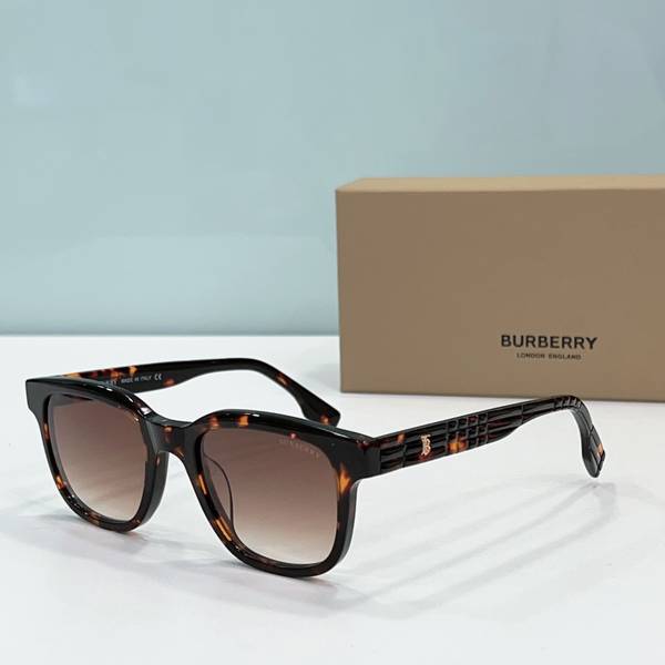 BurBerry Sunglasses Top Quality BBS00993