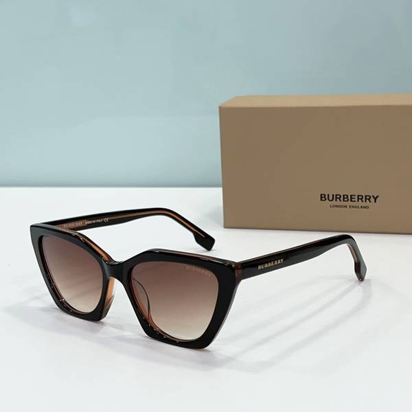 BurBerry Sunglasses Top Quality BBS01011