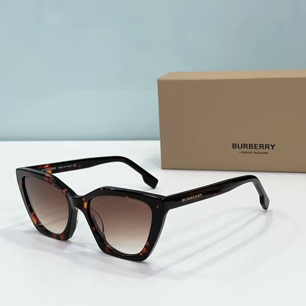 BurBerry Sunglasses Top Quality BBS01013