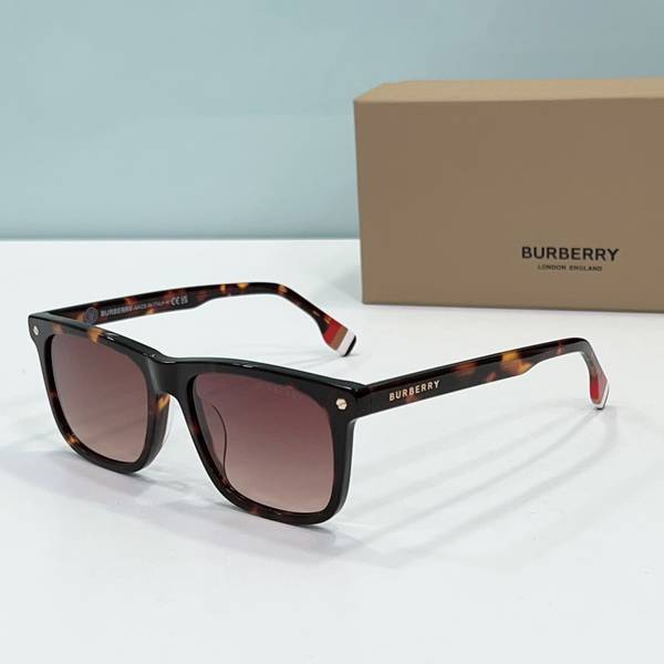 BurBerry Sunglasses Top Quality BBS01017