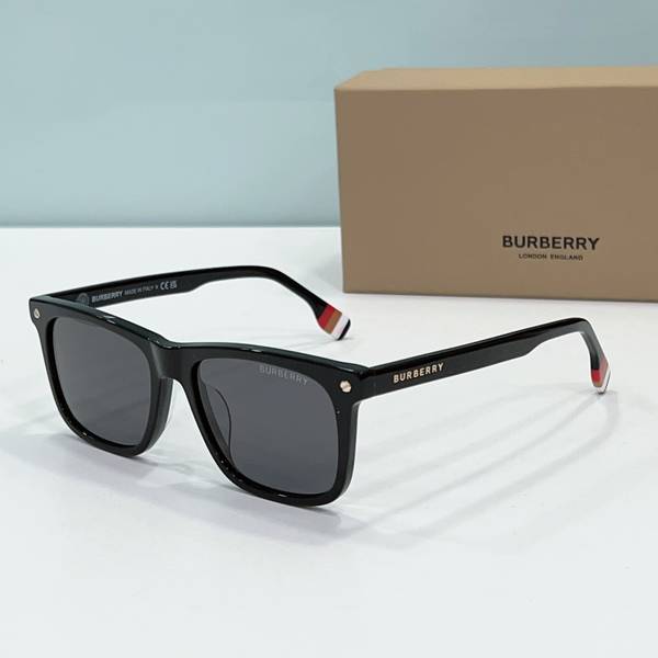 BurBerry Sunglasses Top Quality BBS01018