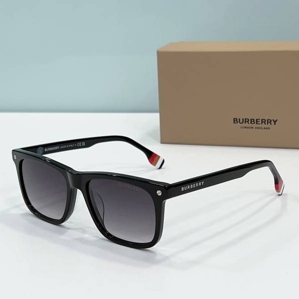 BurBerry Sunglasses Top Quality BBS01019