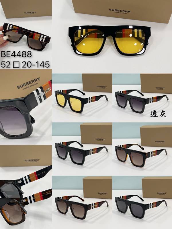BurBerry Sunglasses Top Quality BBS01024
