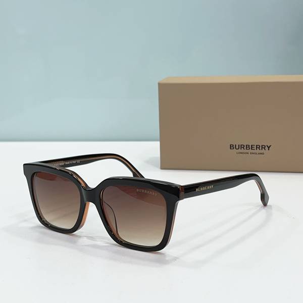 BurBerry Sunglasses Top Quality BBS01114