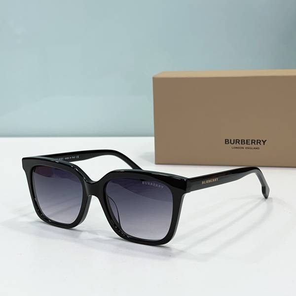 BurBerry Sunglasses Top Quality BBS01119