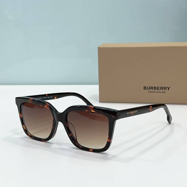 BurBerry Sunglasses Top Quality BBS01123