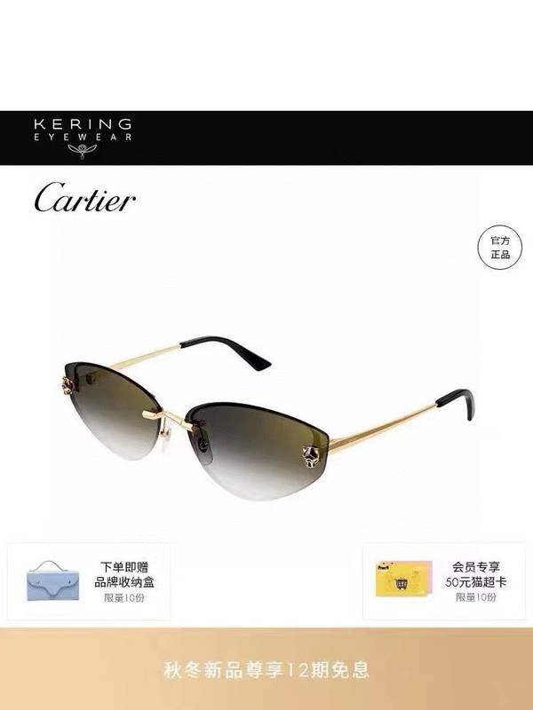 Cartier Sunglasses Top Quality CAS01530