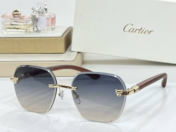 Cartier Sunglasses Top Quality CAS01559