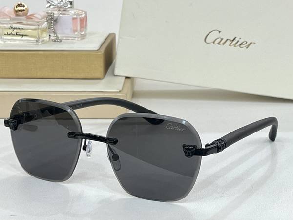 Cartier Sunglasses Top Quality CAS01569
