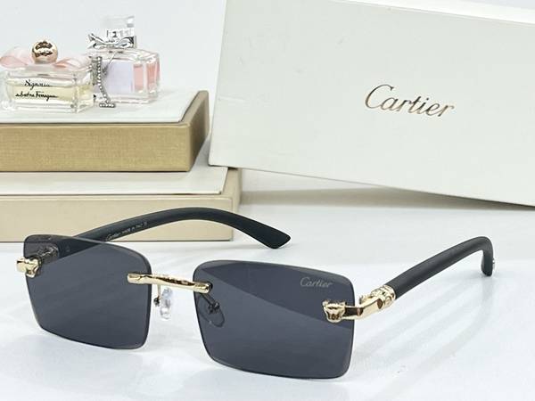 Cartier Sunglasses Top Quality CAS01571