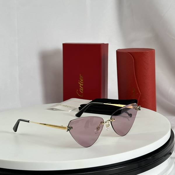 Cartier Sunglasses Top Quality CAS01613
