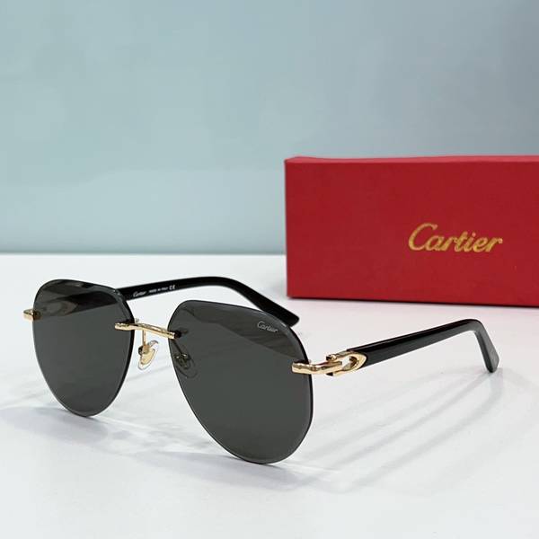 Cartier Sunglasses Top Quality CAS01636