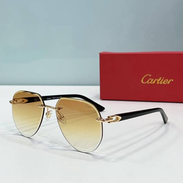 Cartier Sunglasses Top Quality CAS01637
