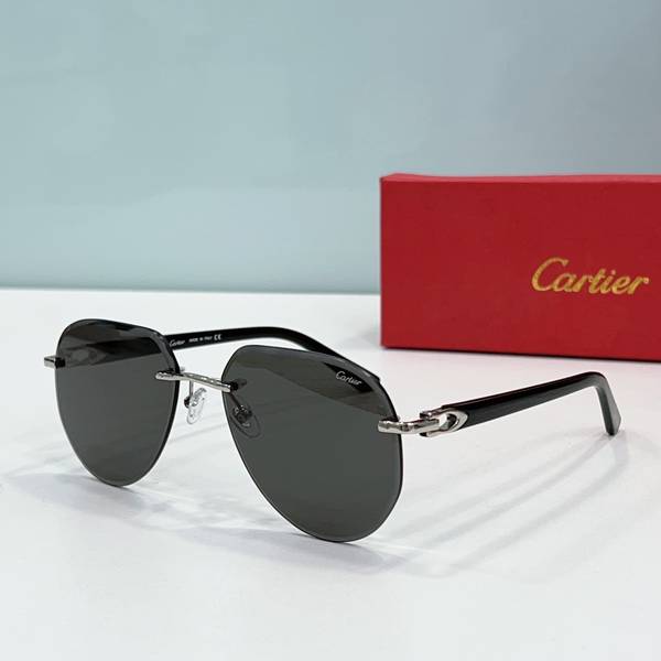 Cartier Sunglasses Top Quality CAS01638