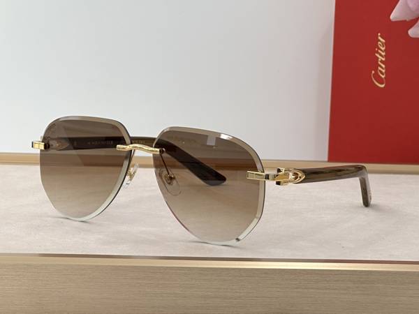 Cartier Sunglasses Top Quality CAS01672