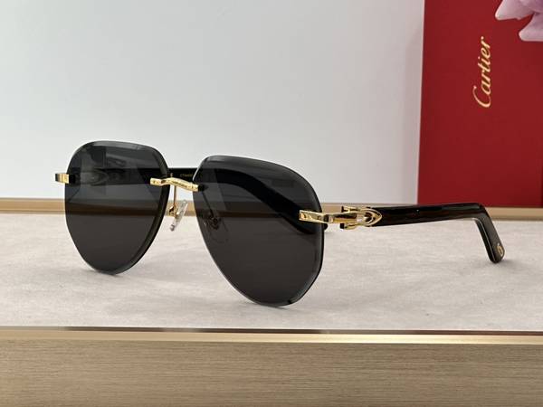Cartier Sunglasses Top Quality CAS01675
