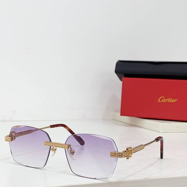 Cartier Sunglasses Top Quality CAS01701