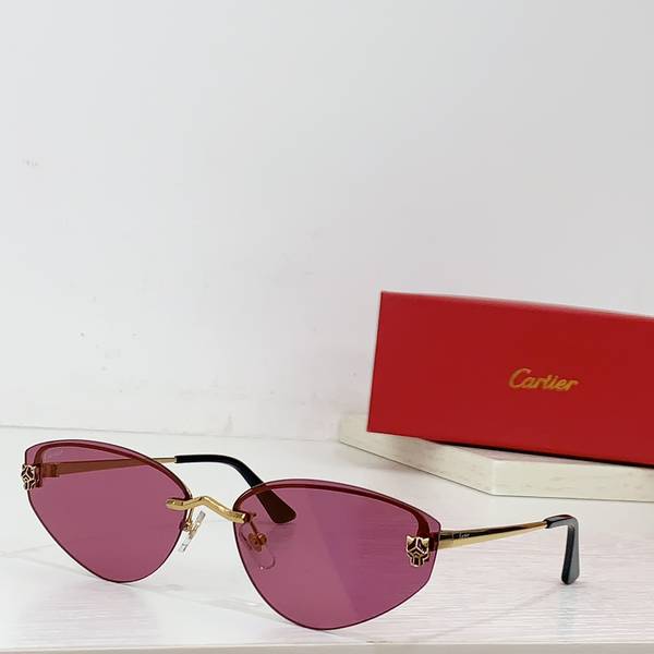 Cartier Sunglasses Top Quality CAS01713