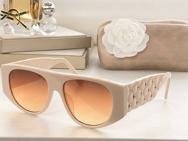 Chanel Sunglasses Top Quality CHS05842