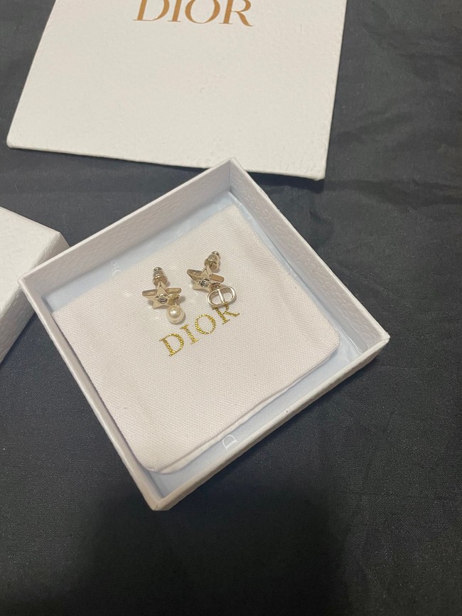 Dior Earrings CE14322