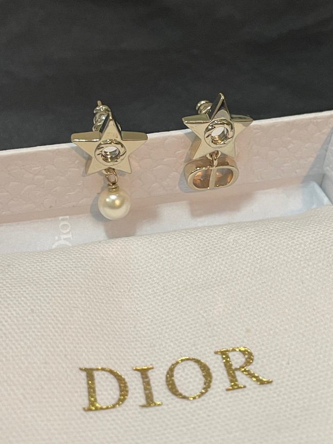Dior Earrings CE14322