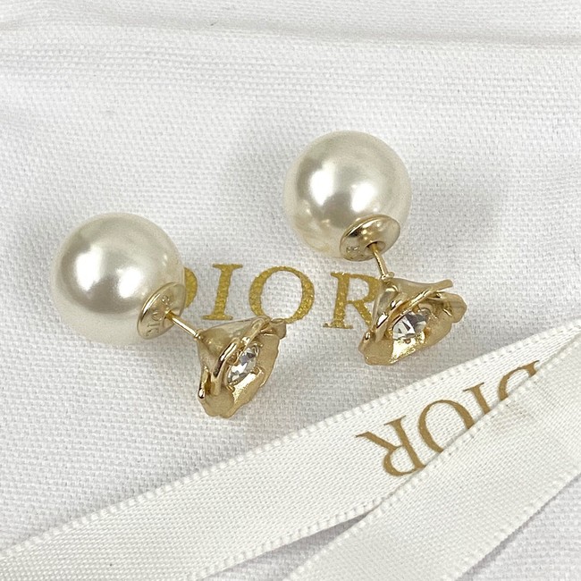Dior Earrings CE14361