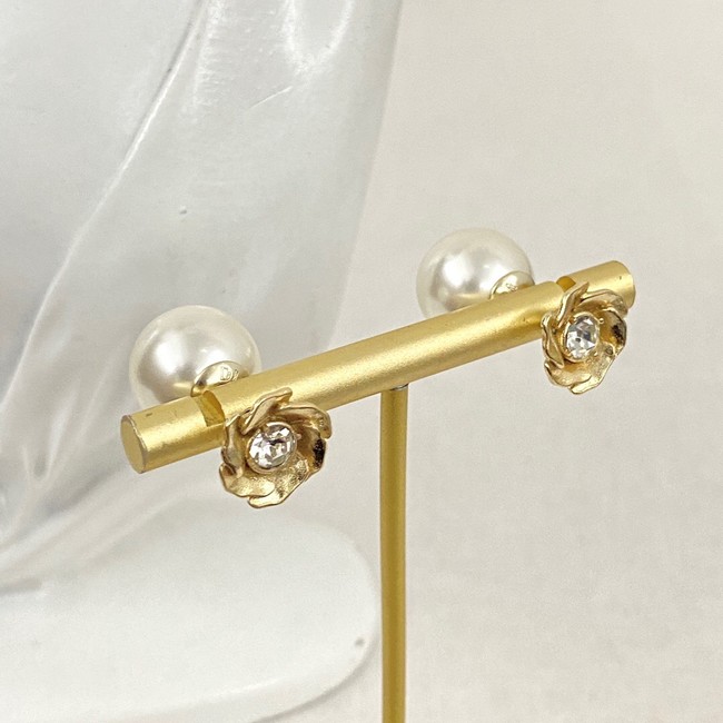 Dior Earrings CE14361