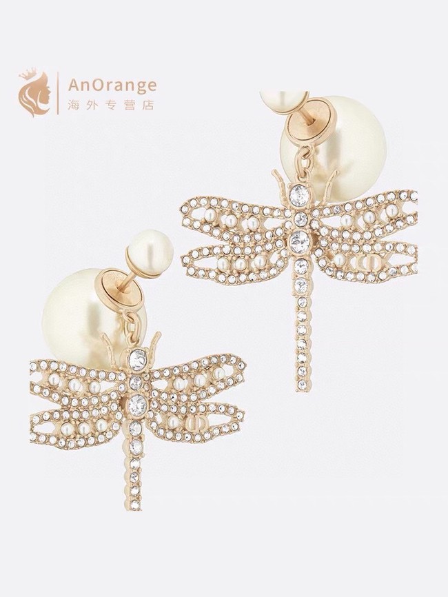 Dior Earrings CE14375