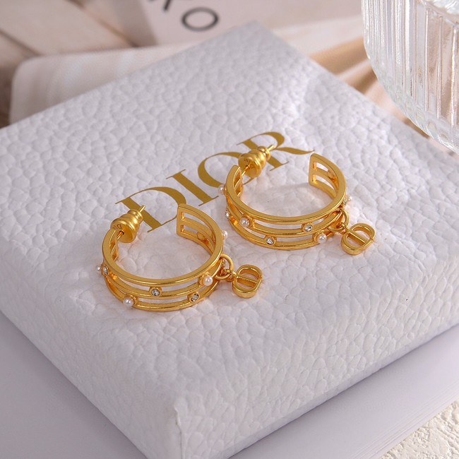 Dior Earrings CE14376