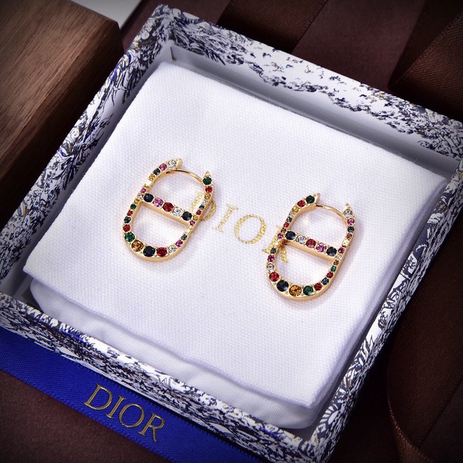 Dior Earrings CE14377