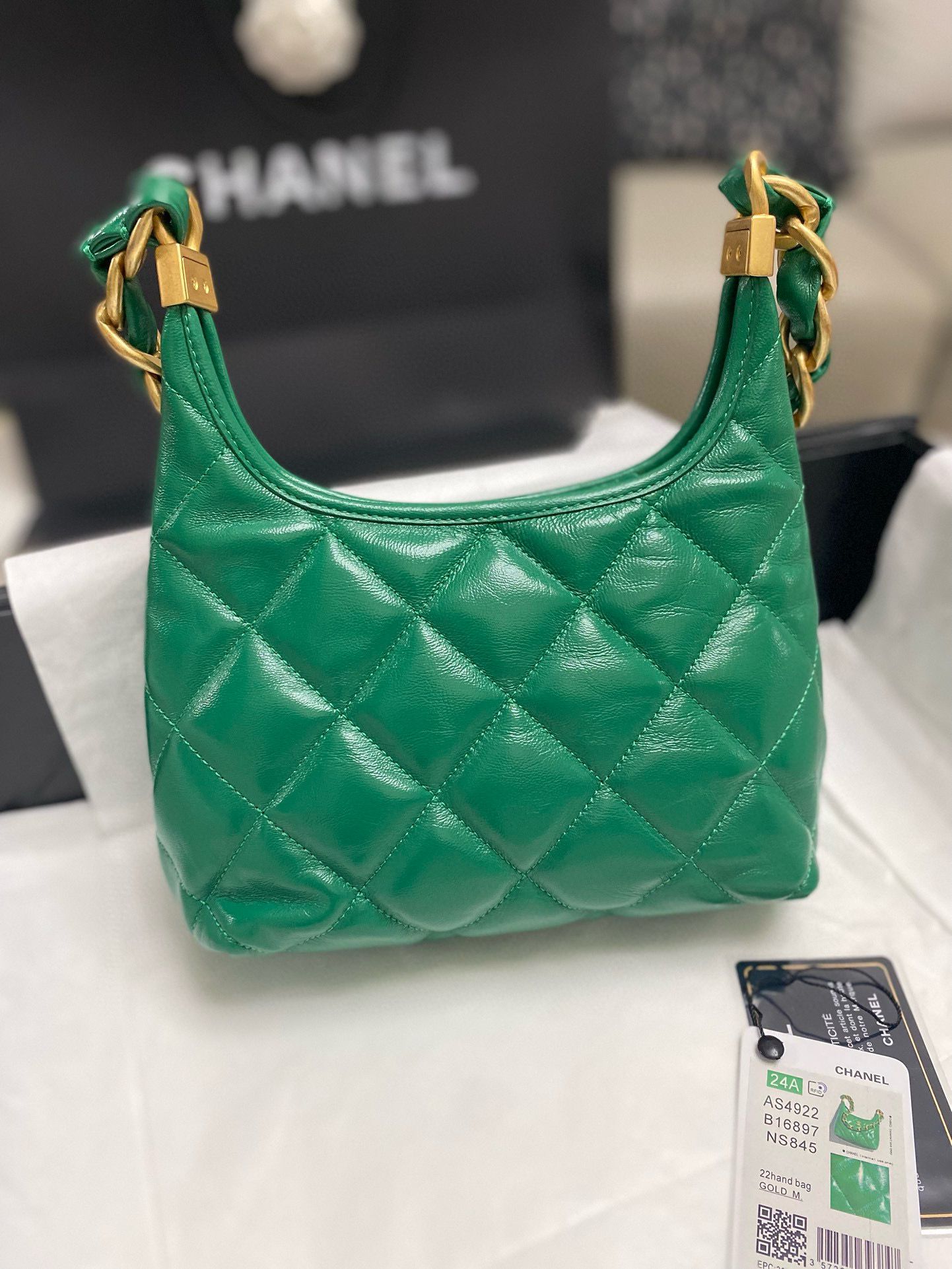 Chanel 24A Original Leather Hobo Bag AS4922 AS4923 Green