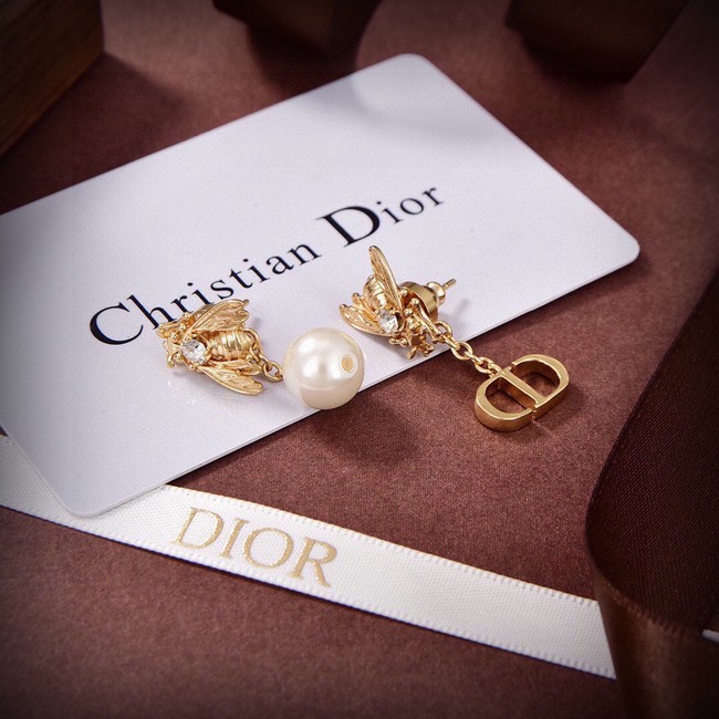 Dior Earrings CE14551