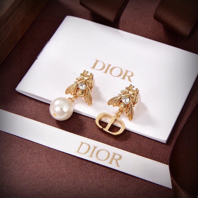 Dior Earrings CE14551