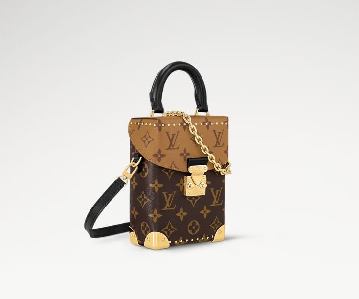 Louis Vuitton Monogram Canvas Camera Box Bag M82465 Brown