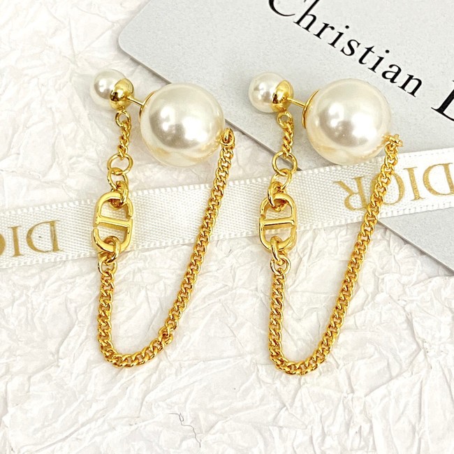 Dior Earrings CE14629