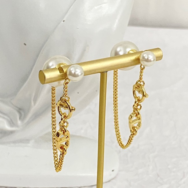 Dior Earrings CE14629