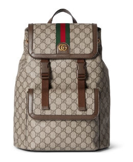 GUCCI AOPHIDIA SMALL GG BACKPACK 792114 Brown