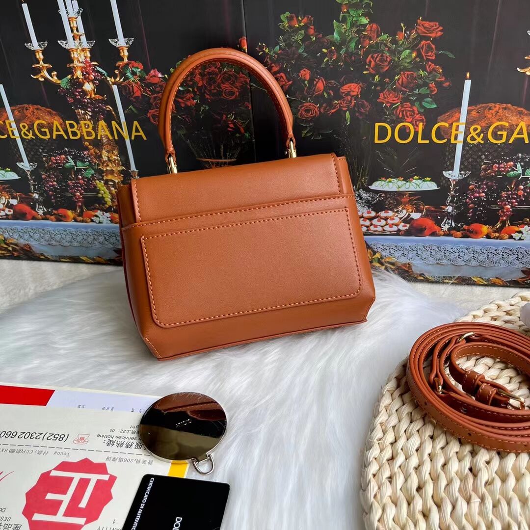 Dolce & Gabbana leather bag G6002 brown