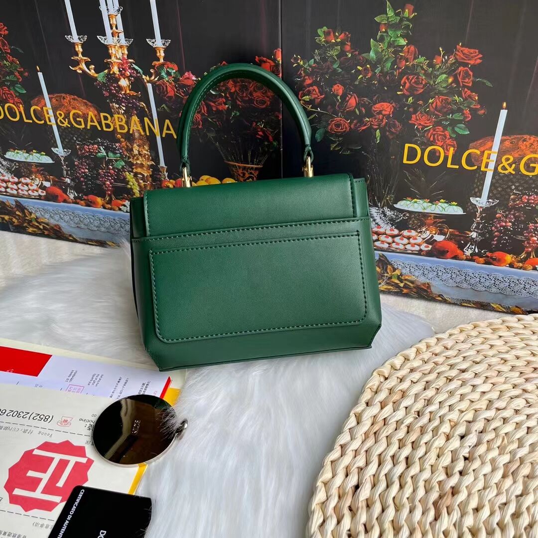 Dolce & Gabbana leather bag G6002 green