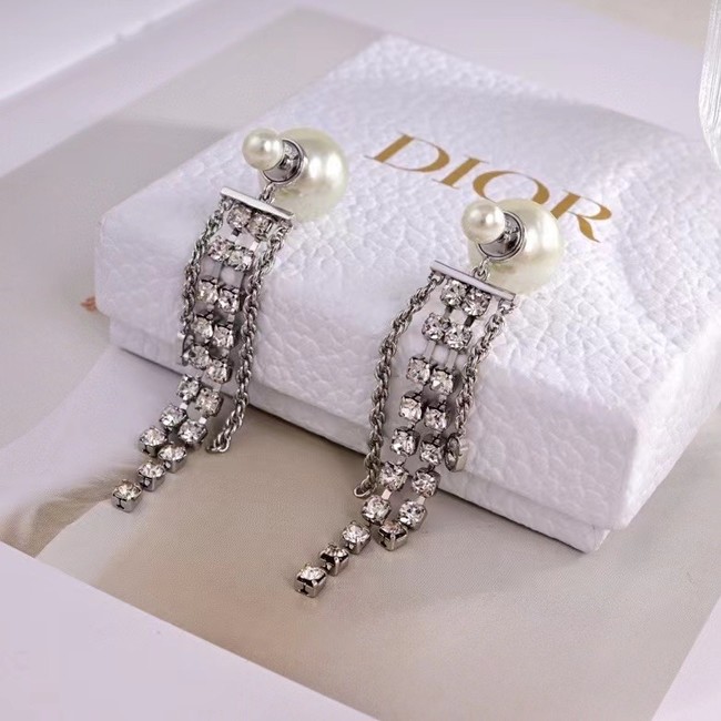 Dior Earrings CE14667