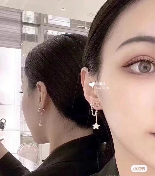 Dior Earrings CE14677