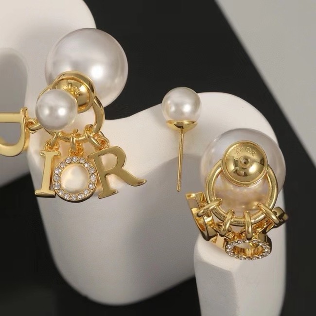 Dior Earrings CE14678