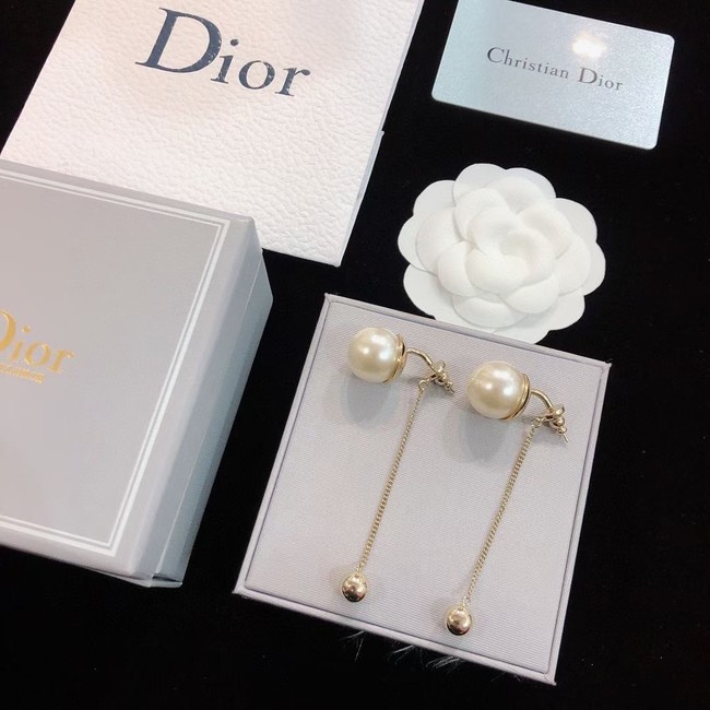 Dior Earrings CE14685